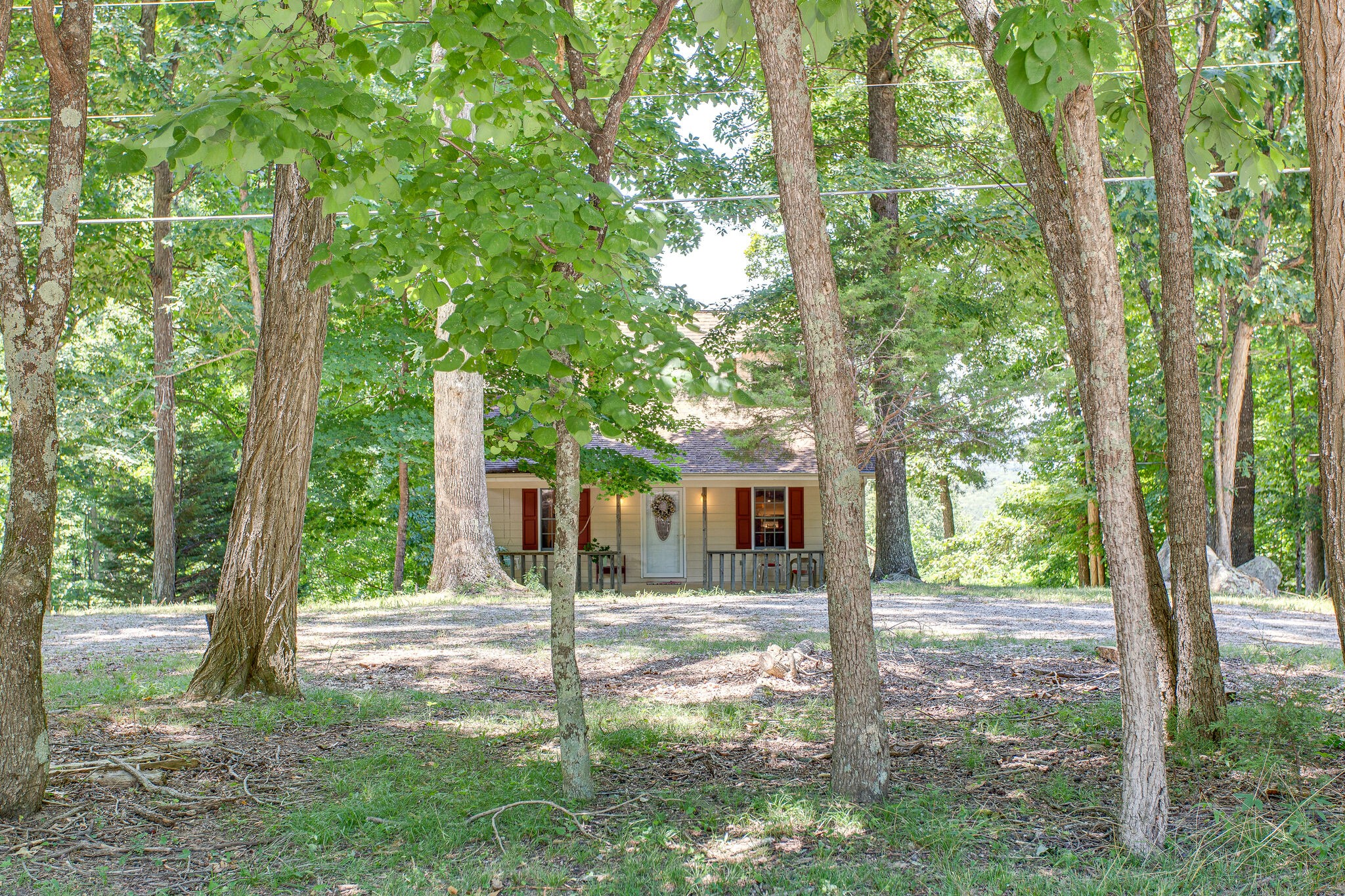 658 Cedar Mountain Place Decherd, TN 37324 - Photo 6 of 53 a view of a house with backyard and a tree