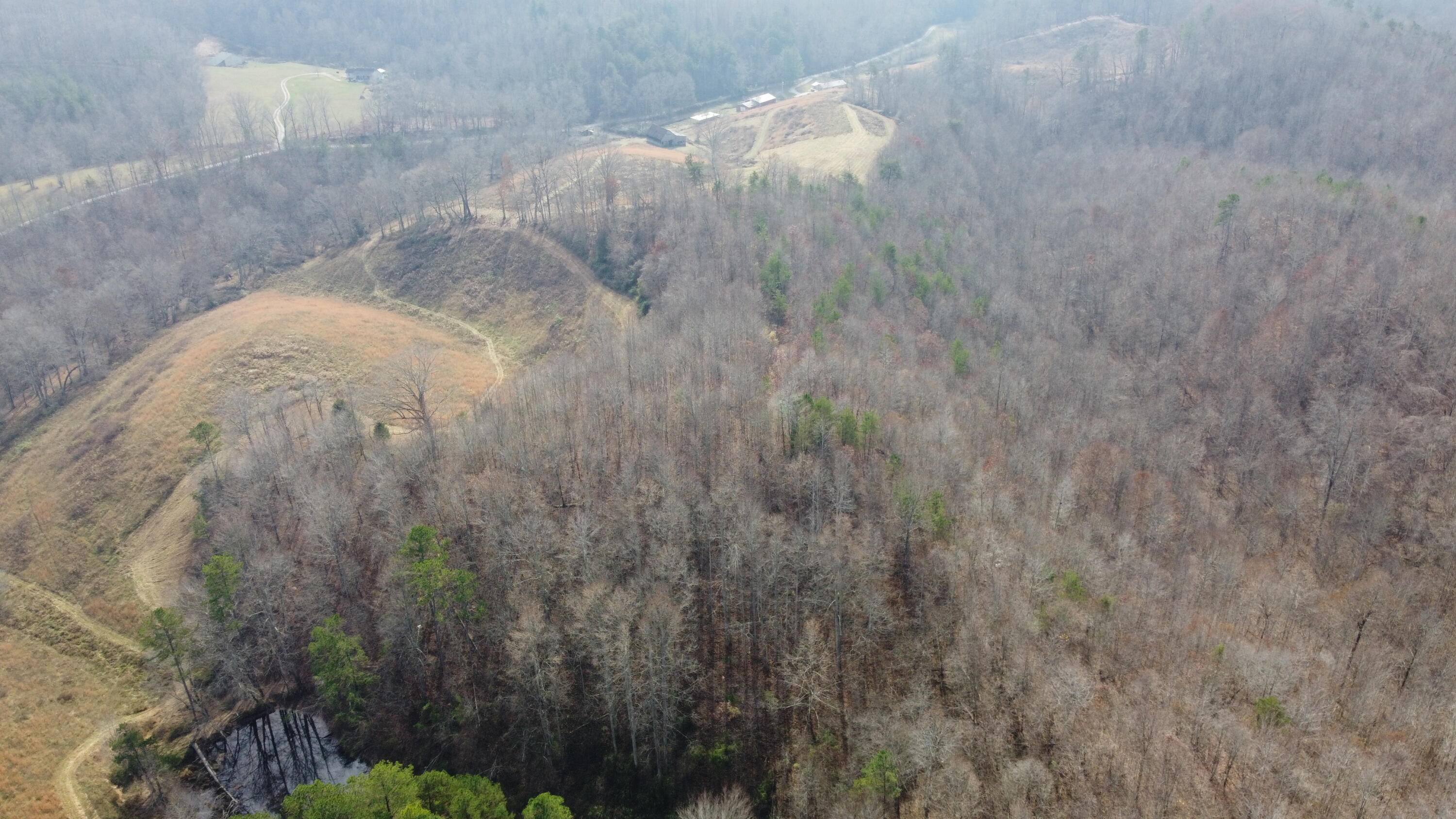9999 Langdon Branch Road Annville, KY 40402 - Photo 8 of 13 DJI_0048