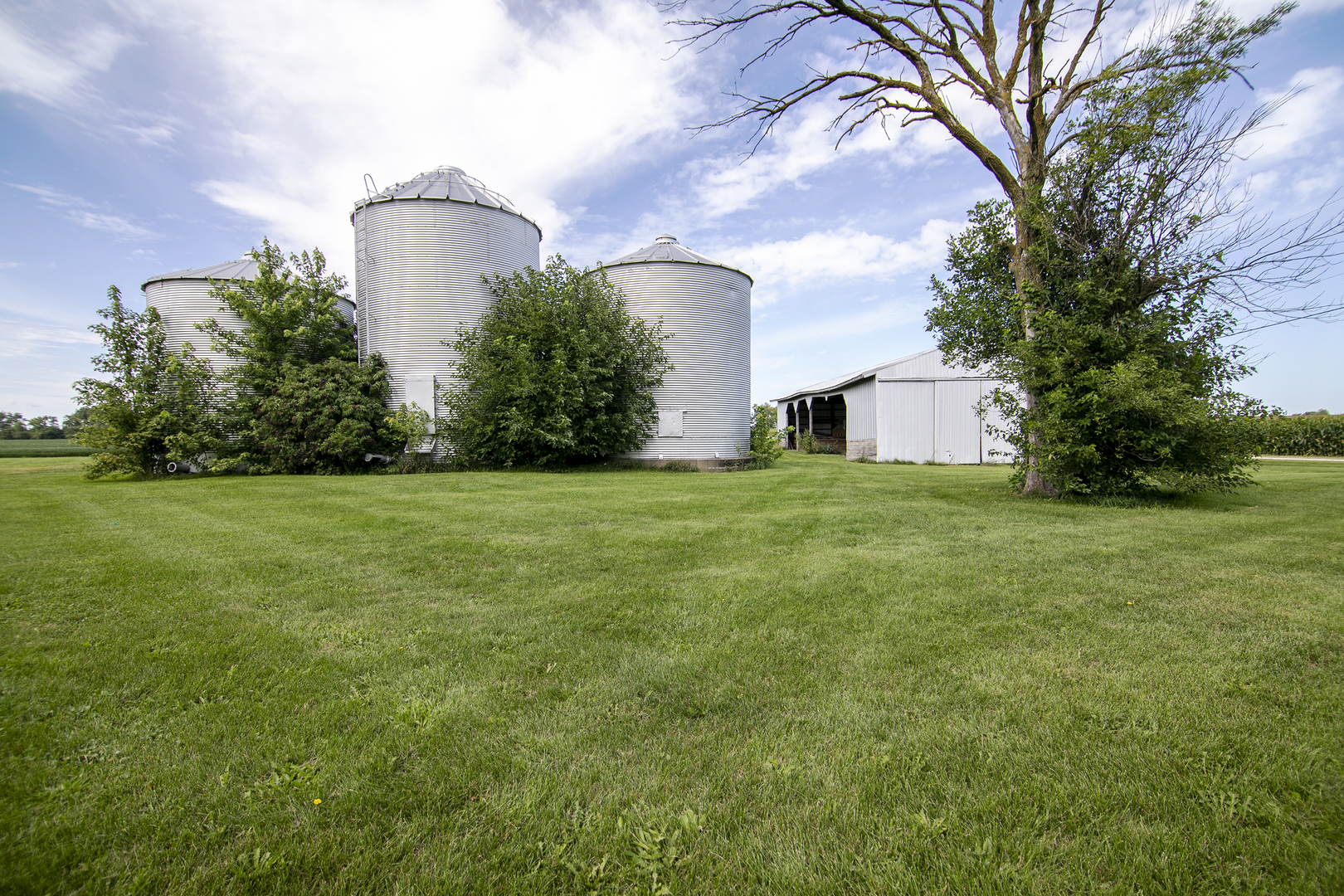 12710 West 1000N Road Herscher, IL 60941 - Photo 17 of 30 a view of a house with a yard and a large tree