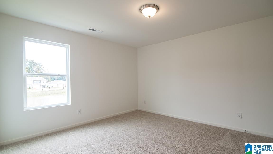 1009 Flyway View Lane Alabaster, AL 35007 - Photo 13 of 16