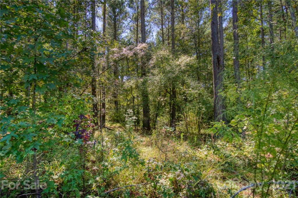 4046 Persimmon Road Lancaster, SC 29720 - Photo 3 of 21 Gallery Image 3