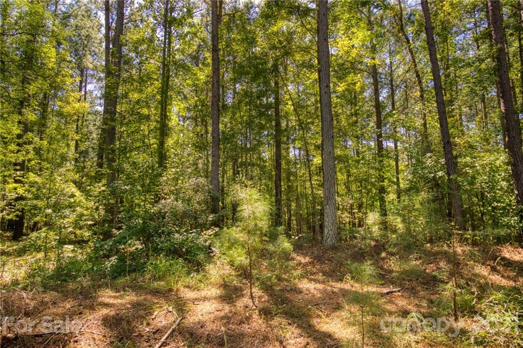 4046 Persimmon Road Lancaster, SC 29720 - Photo 4 of 21 Gallery Image 4
