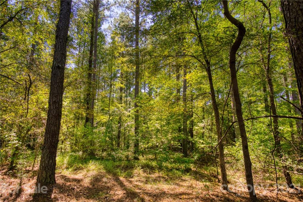 4046 Persimmon Road Lancaster, SC 29720 - Photo 7 of 21 Gallery Image 7