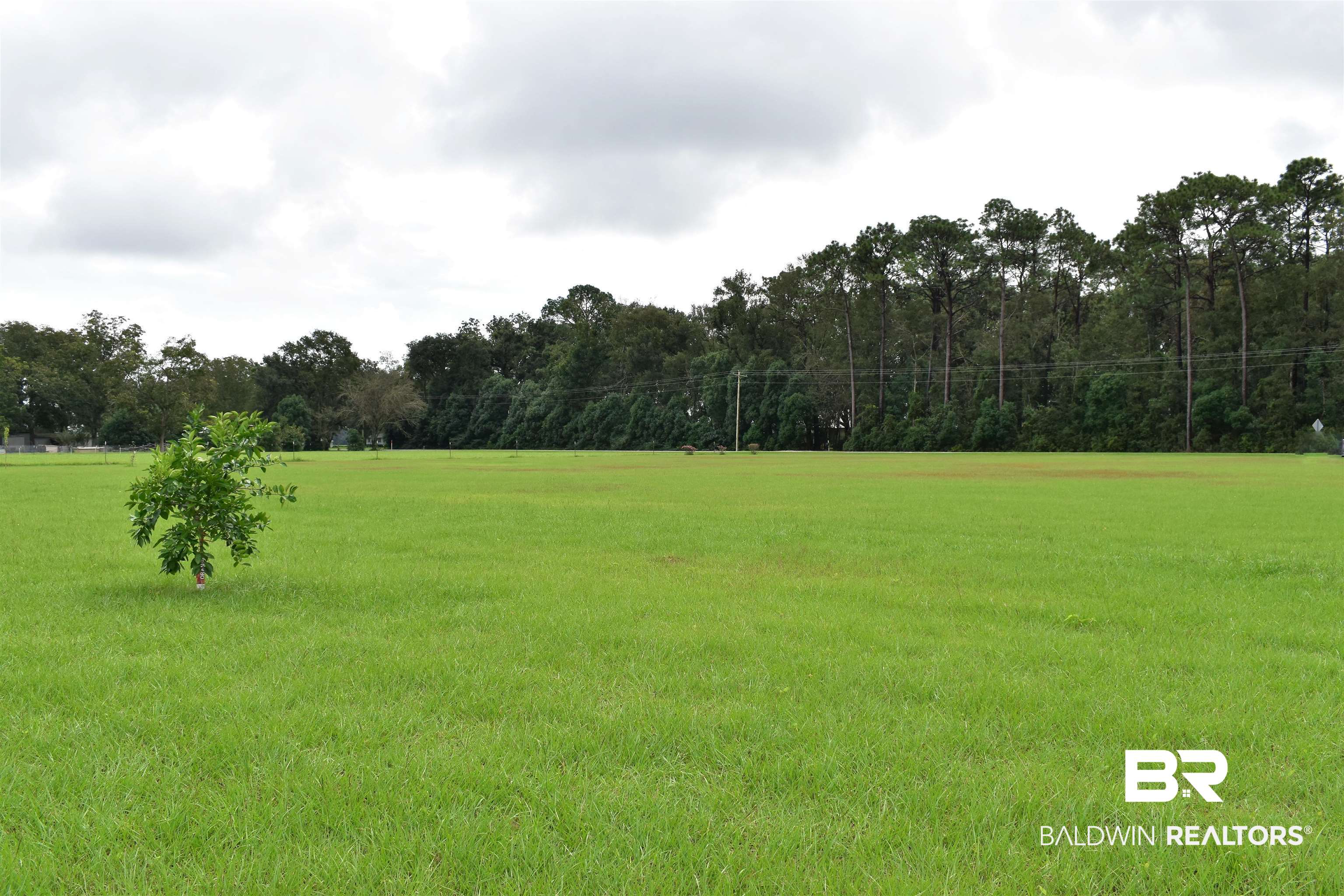 12115 County Road 54 Daphne, AL 36526 - Photo 16 of 17