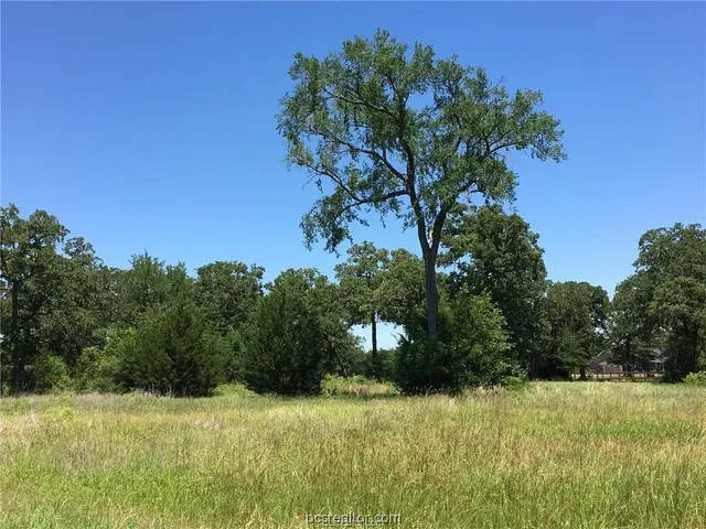 $129,900 | 9984 Chelsea Drive, Iola, TX 77861