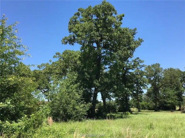 $129,900 | 9984 Chelsea Drive, Iola, TX 77861