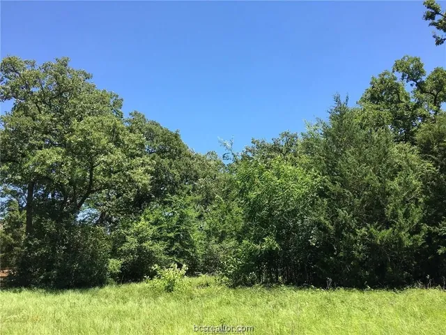 $129,900 | 9984 Chelsea Drive, Iola, TX 77861