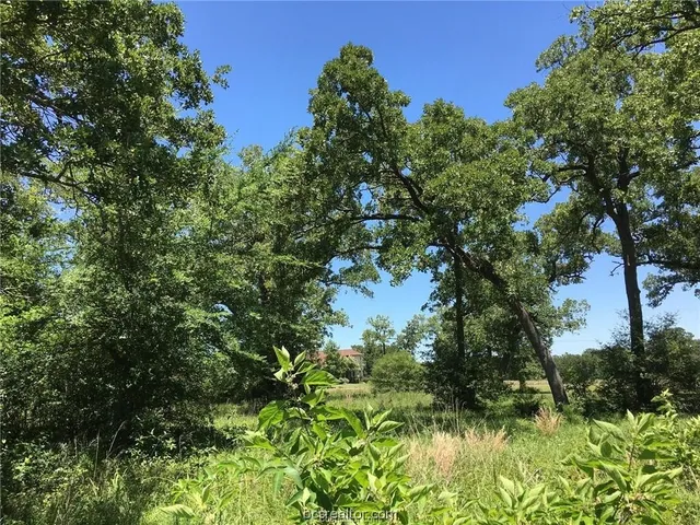 $129,900 | 9984 Chelsea Drive, Iola, TX 77861