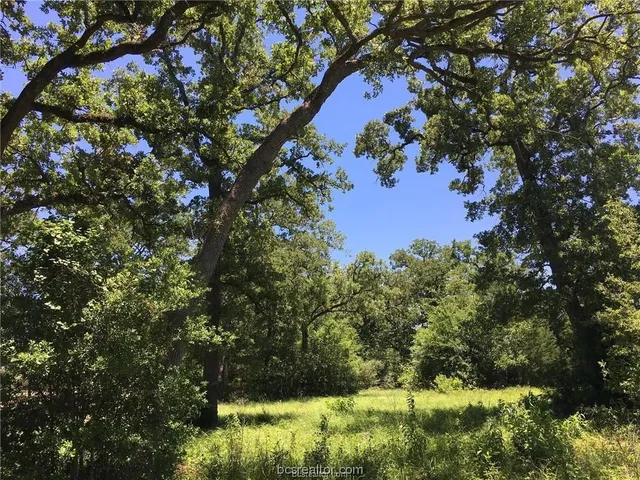 $129,900 | 9984 Chelsea Drive, Iola, TX 77861