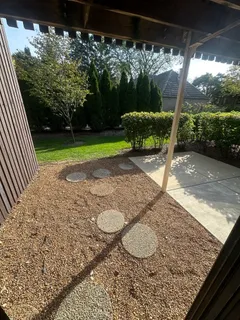 a view of a backyard with a garden and plants