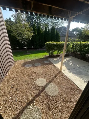 a view of a backyard with a garden and plants