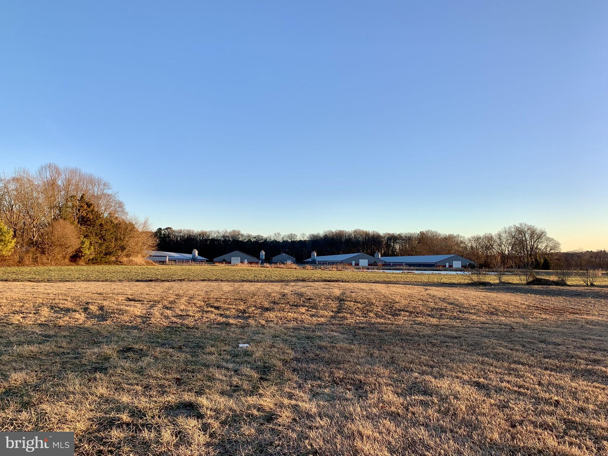 17260 Philips Hill Road Laurel, DE 19956 - Photo 5 of 13 view from backyard