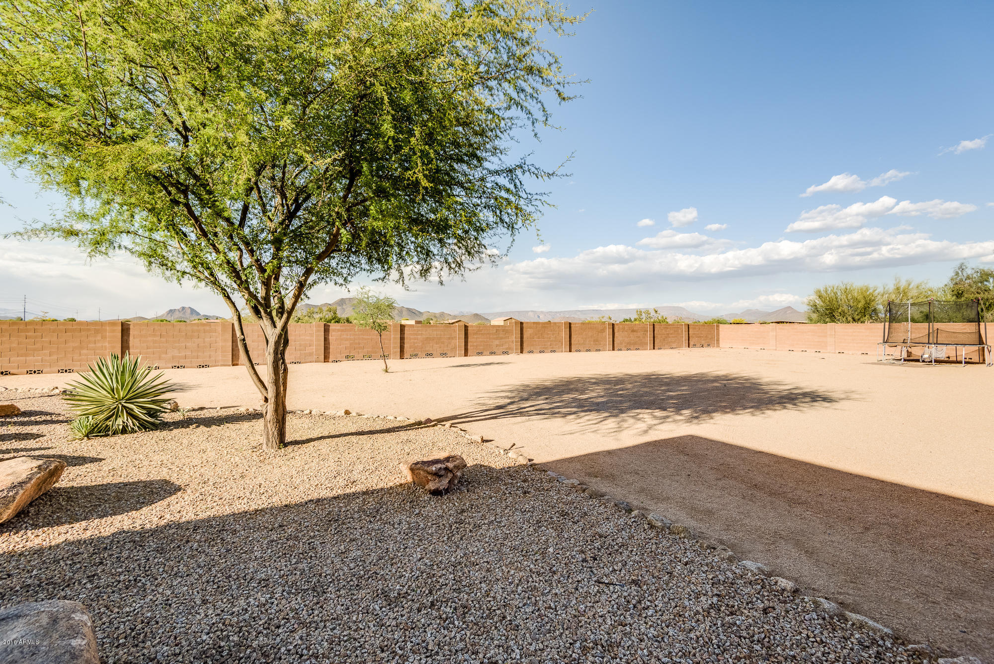 2638 West Canyon Road Phoenix, AZ 85086 - Photo 18 of 31 Large Back Yard