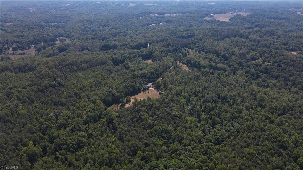 7767 Pearman Quarry Road Kernersville, NC 27284 - Photo 18 of 27