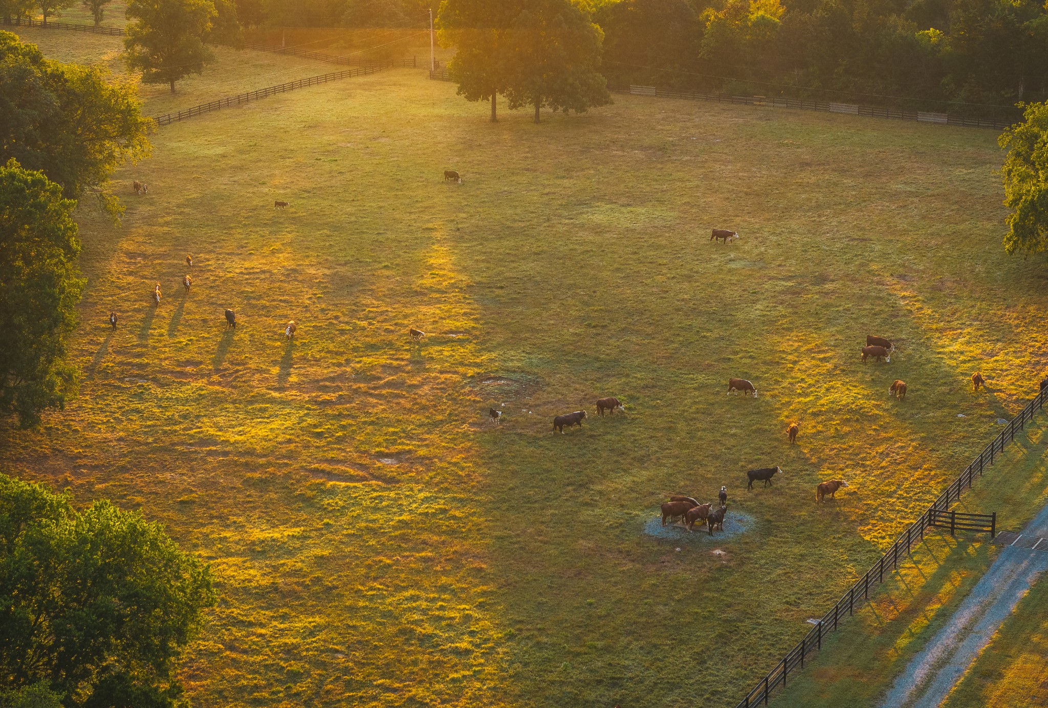 4750 Sharpsville Road Murfreesboro, TN 37130 - Photo 64 of 70