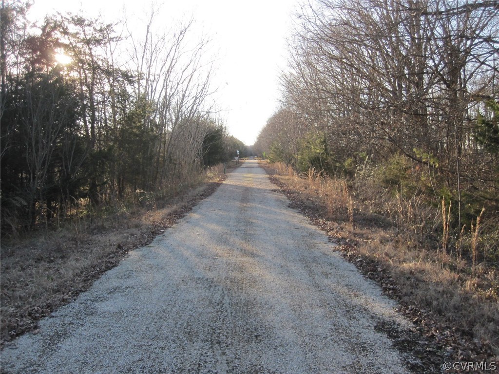 0 Pineview Road Prospect, VA 23960 - Photo 11 of 12 a view of a dirt road with trees in the background