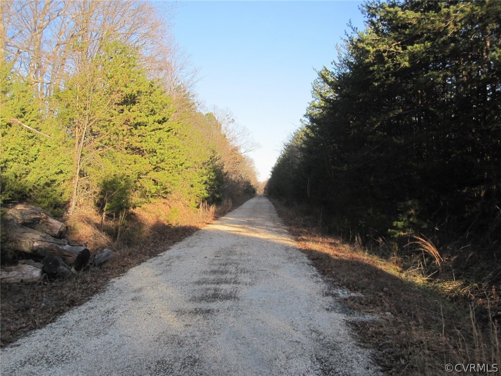 0 Pineview Road Prospect, VA 23960 - Photo 12 of 12 a view of outdoor space and trees