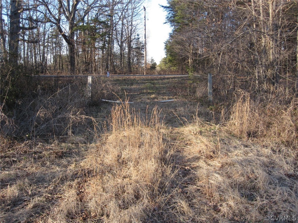 0 Pineview Road Prospect, VA 23960 - Photo 2 of 12 a backyard of a house with lots of green space