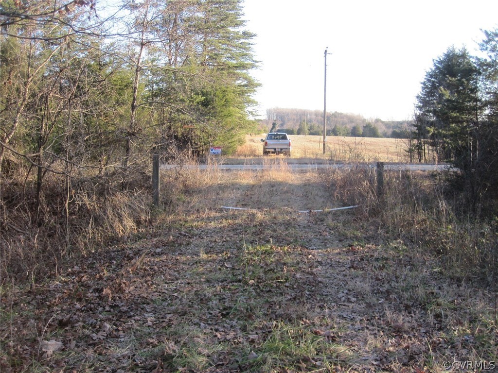 0 Pineview Road Prospect, VA 23960 - Photo 3 of 12 a view of a yard with a tree