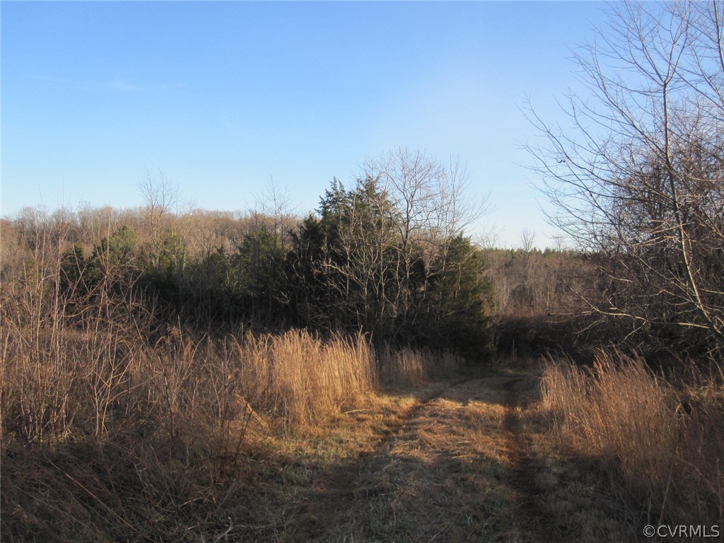 0 Pineview Road Prospect, VA 23960 - Photo 4 of 12 a view of lake with green space