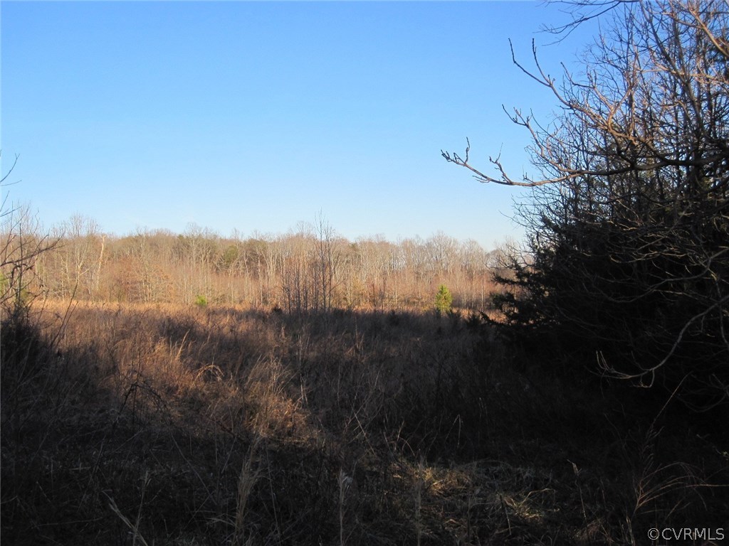 0 Pineview Road Prospect, VA 23960 - Photo 5 of 12 a view of mountain