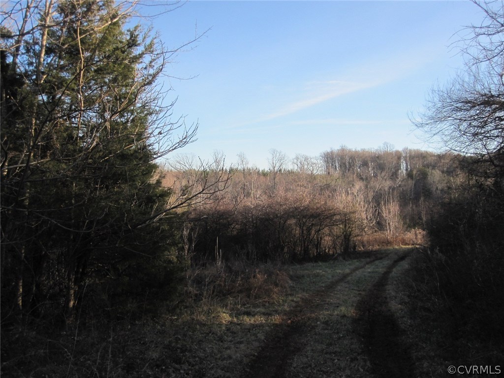 0 Pineview Road Prospect, VA 23960 - Photo 6 of 12 a view of a yard