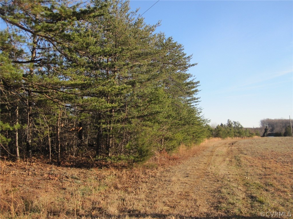 0 Pineview Road Prospect, VA 23960 - Photo 7 of 12 a view of a yard with a tree