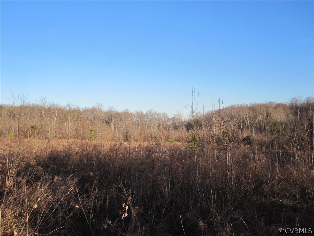 0 Pineview Road Prospect, VA 23960 - Photo 10 of 12 a view of a city with lush green forest