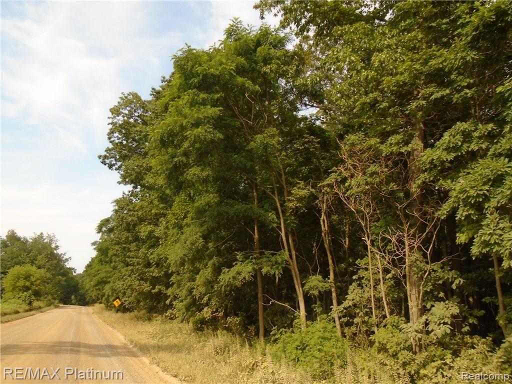 A2 Hartland Road Fenton, MI 48430 - Photo 6 of 6