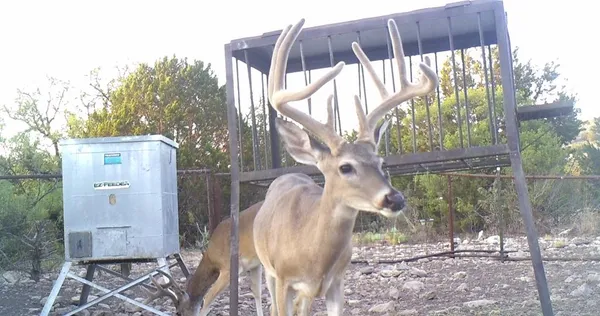 a view of balcony with a swing