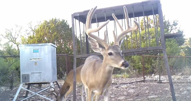a view of balcony with a swing