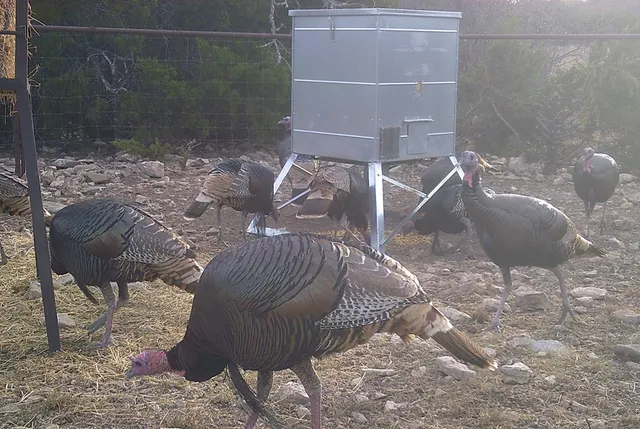 a view of a glass door