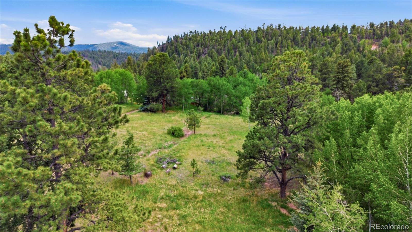 31280 Florence Road Conifer, CO 80433 - Photo 40 of 48 a view of a yard with a tree