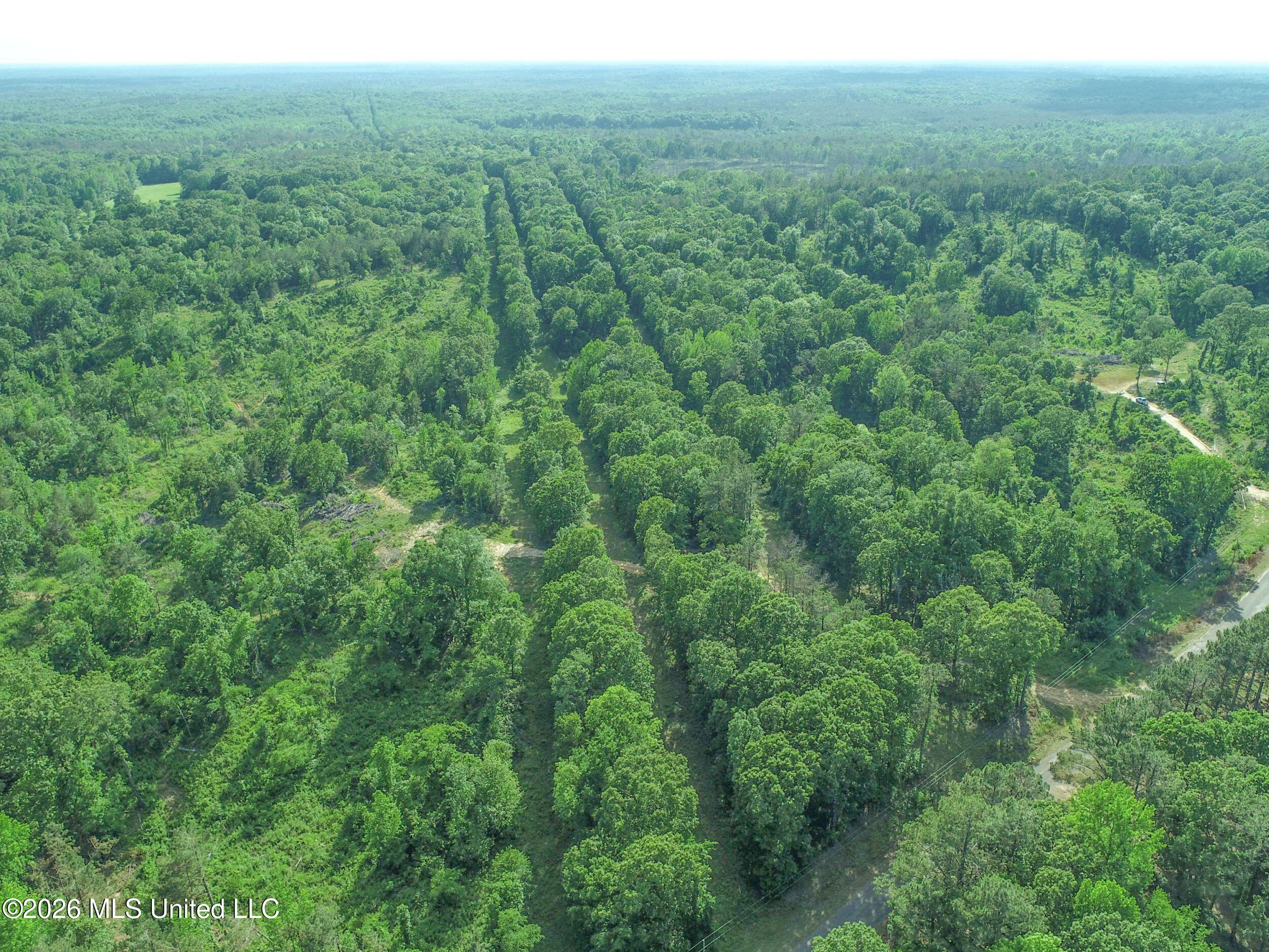 Wayne Massie Road Como, MS 38619 - Photo 48 of 184 3ctwmrd32