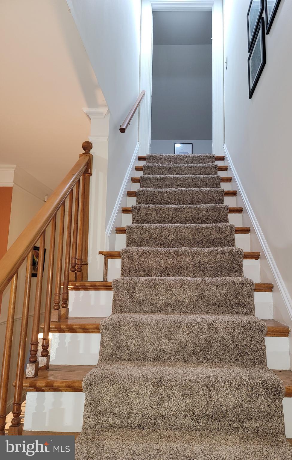 208 Powell Avenue Salisbury, MD 21801 - Photo 38 of 49 Carpet stairway to 2nd floor