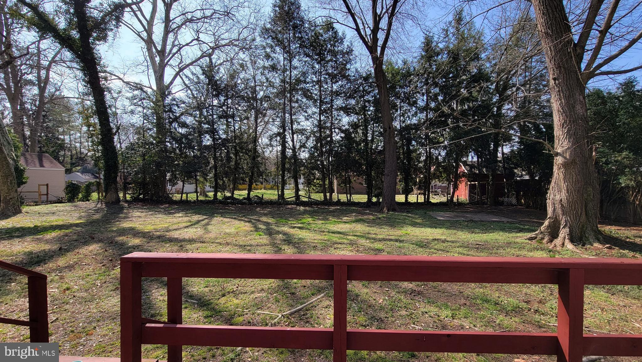 208 Powell Avenue Salisbury, MD 21801 - Photo 10 of 49 .39 Acre lot with plenty of backyard