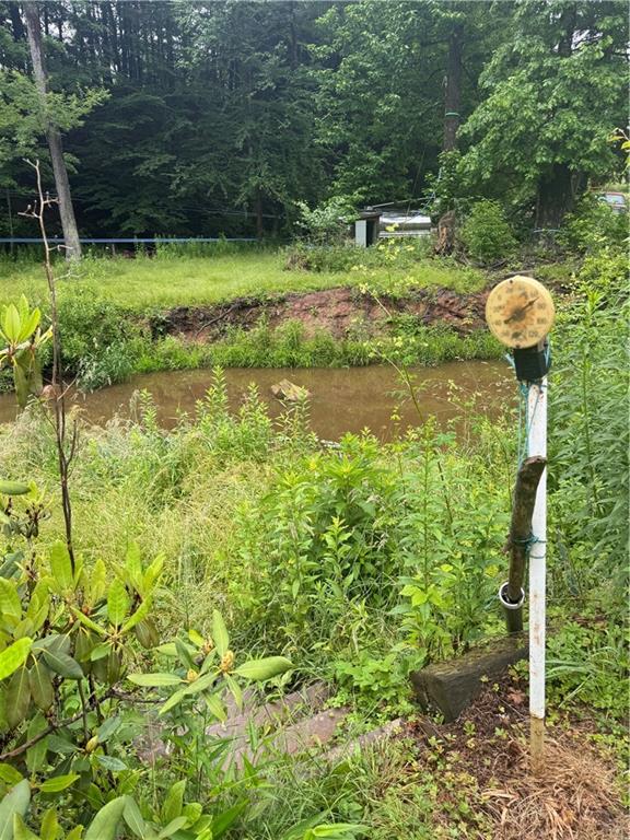 1554 Greenville Road Salisbury, PA 15558 - Photo 38 of 40