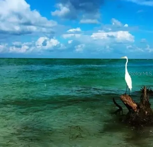 $2,500 | 6326 7th Avenue West, Unit 6326, Bradenton, FL 34209