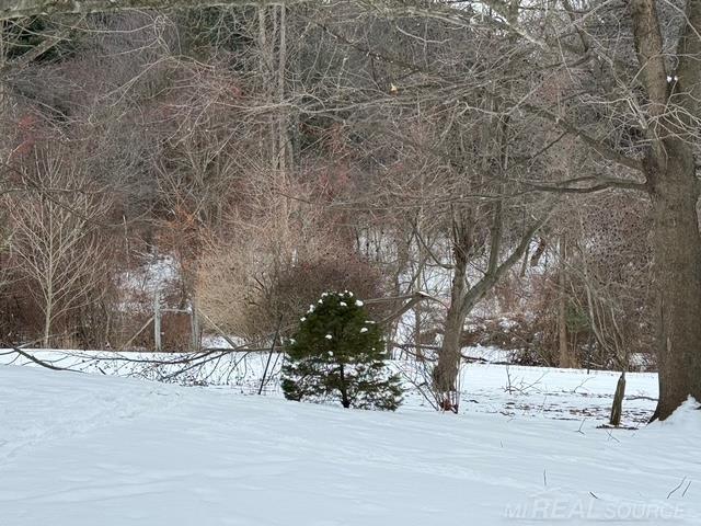 5750 Snay Road Palms, MI 48465 - Photo 2 of 47