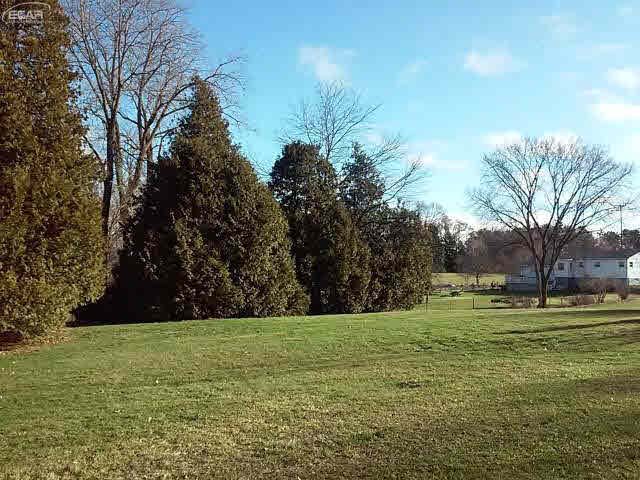 6717 Branch Road Flint, MI 48506 - Photo 18 of 19 21115771-17.JPG