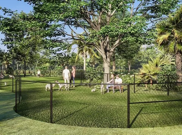 a view of a park with large trees