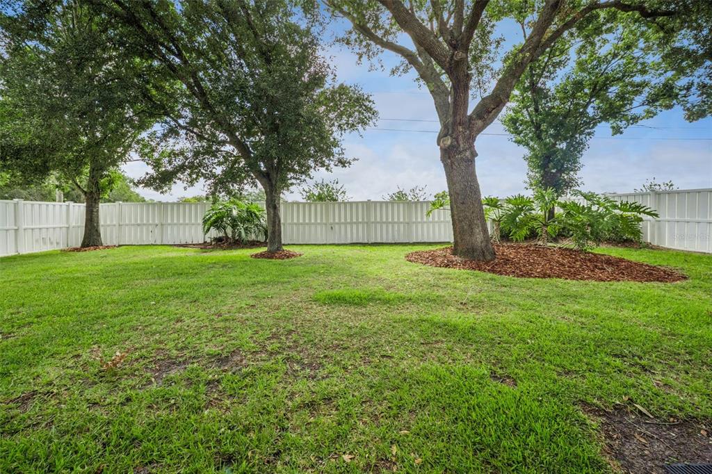 2243 Wolf Ridge Lane Mount Dora, FL 32757 - Photo 49 of 57