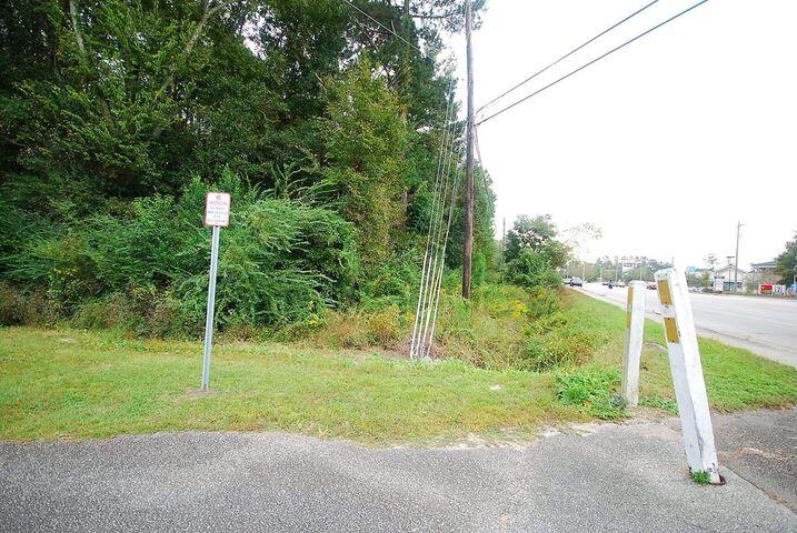 0 Bacons Bridge Road Summerville, SC 29485 - Photo 2 of 3 0 Bacons Bridge 2
