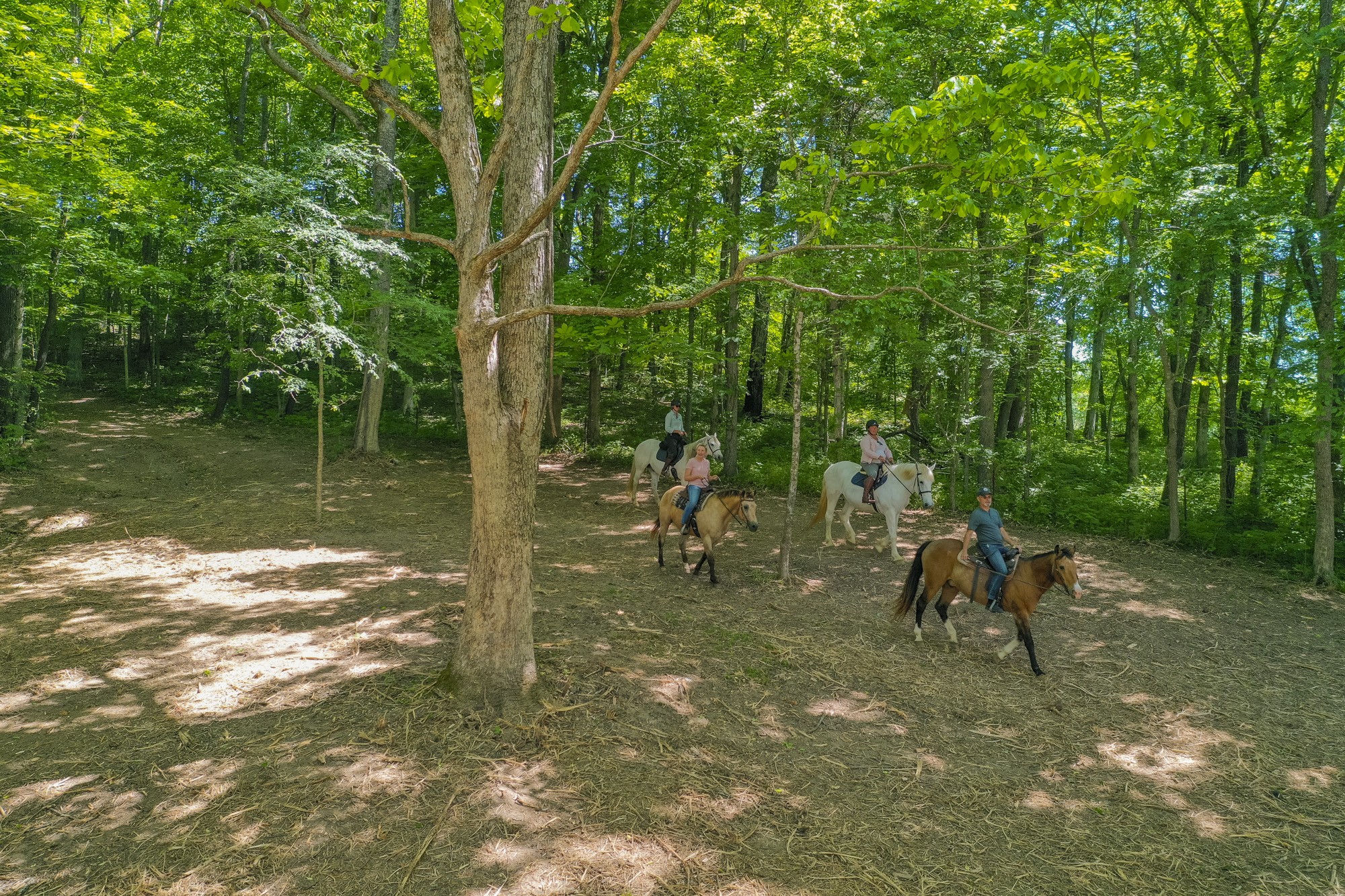 5750 Davis Hollow Road Franklin, TN 37064 - Photo 11 of 41 a view of a lake view