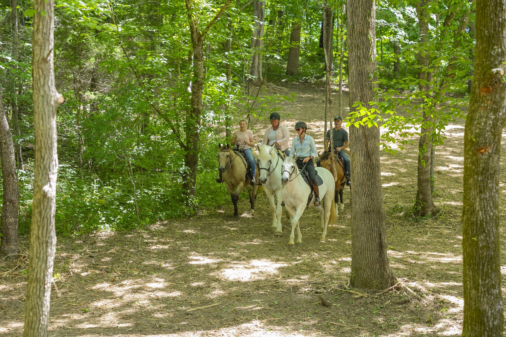 5750 Davis Hollow Road Franklin, TN 37064 - Photo 19 of 41 a view of a tree in a yard