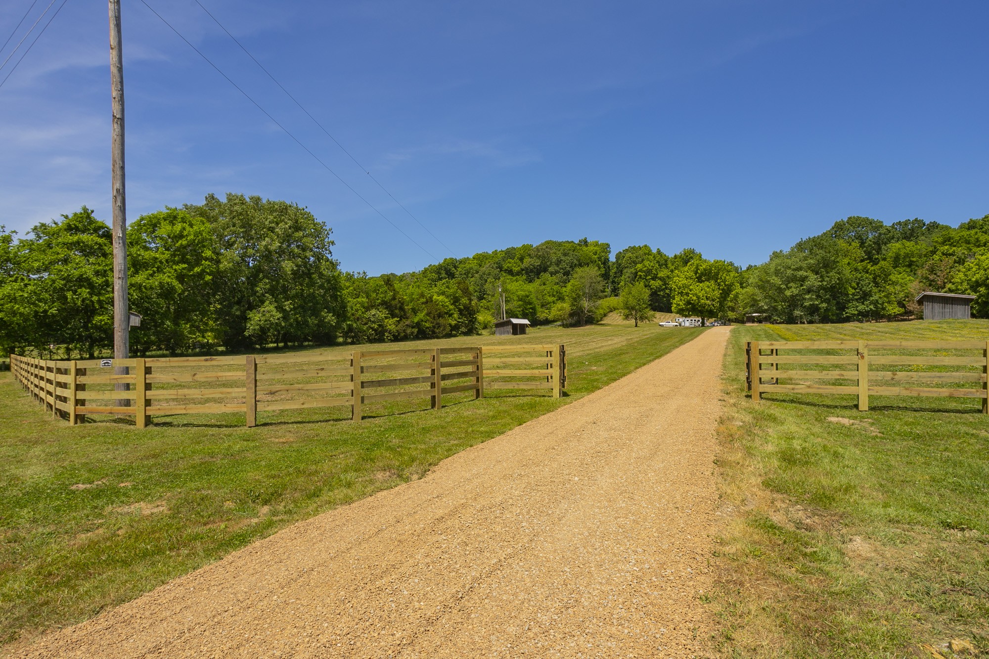 5750 Davis Hollow Road Franklin, TN 37064 - Photo 3 of 41 a view of a yard with large tree