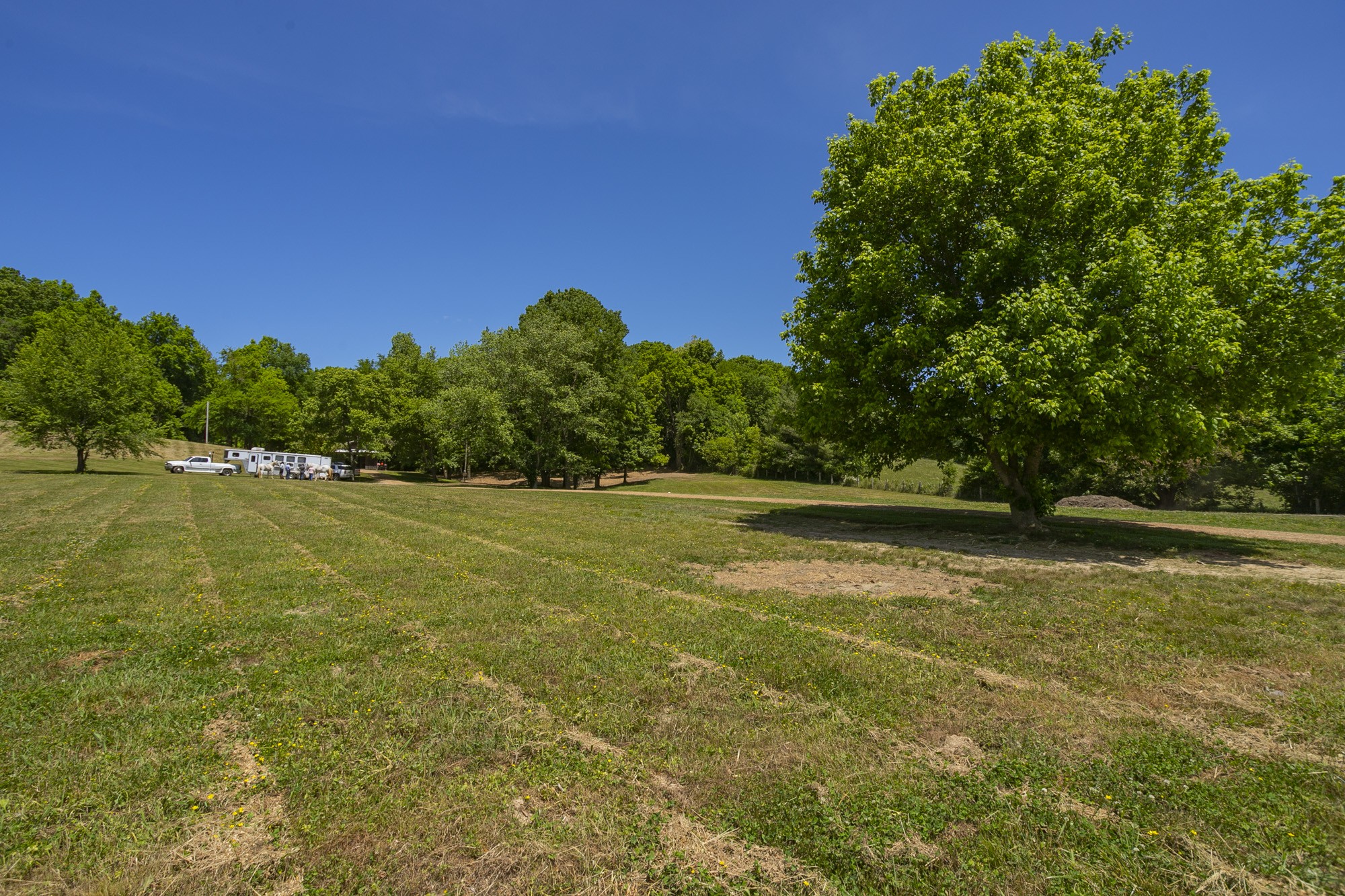 5750 Davis Hollow Road Franklin, TN 37064 - Photo 35 of 41 a view of a field with trees in the background