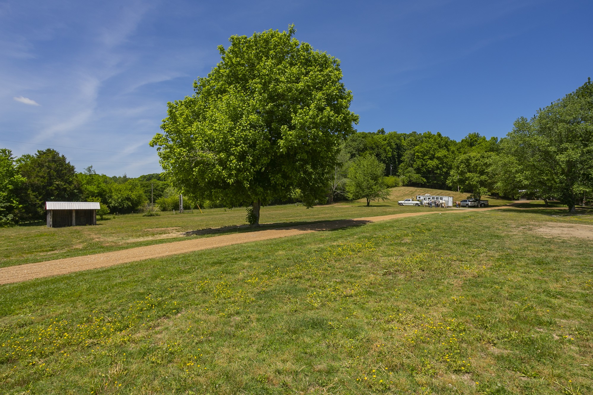 5750 Davis Hollow Road Franklin, TN 37064 - Photo 36 of 41 a view of a playground with basketball court