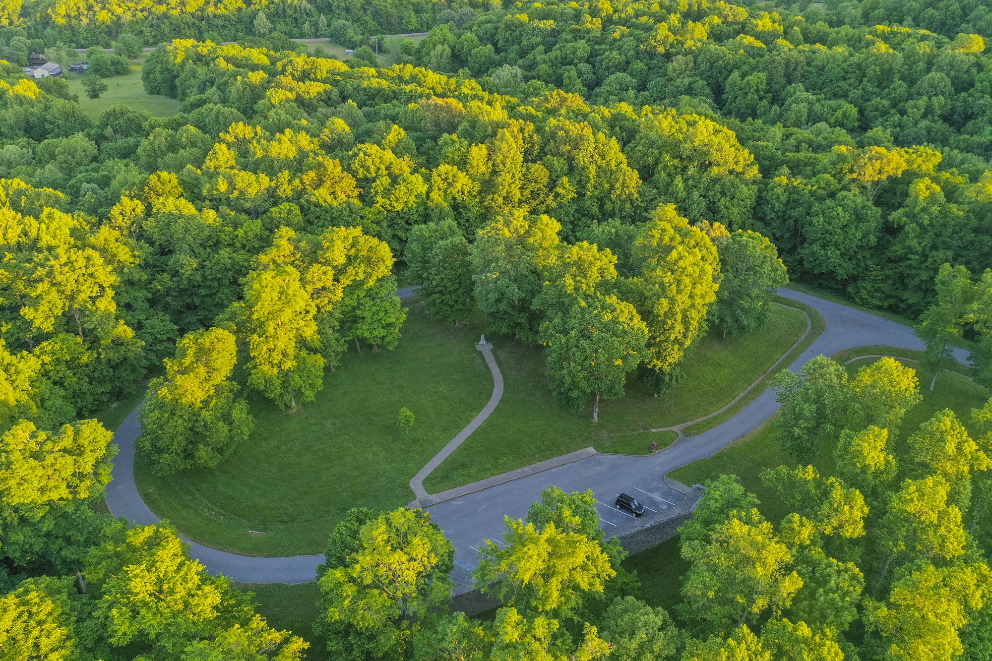 5750 Davis Hollow Road Franklin, TN 37064 - Photo 37 of 41 a view of a garden