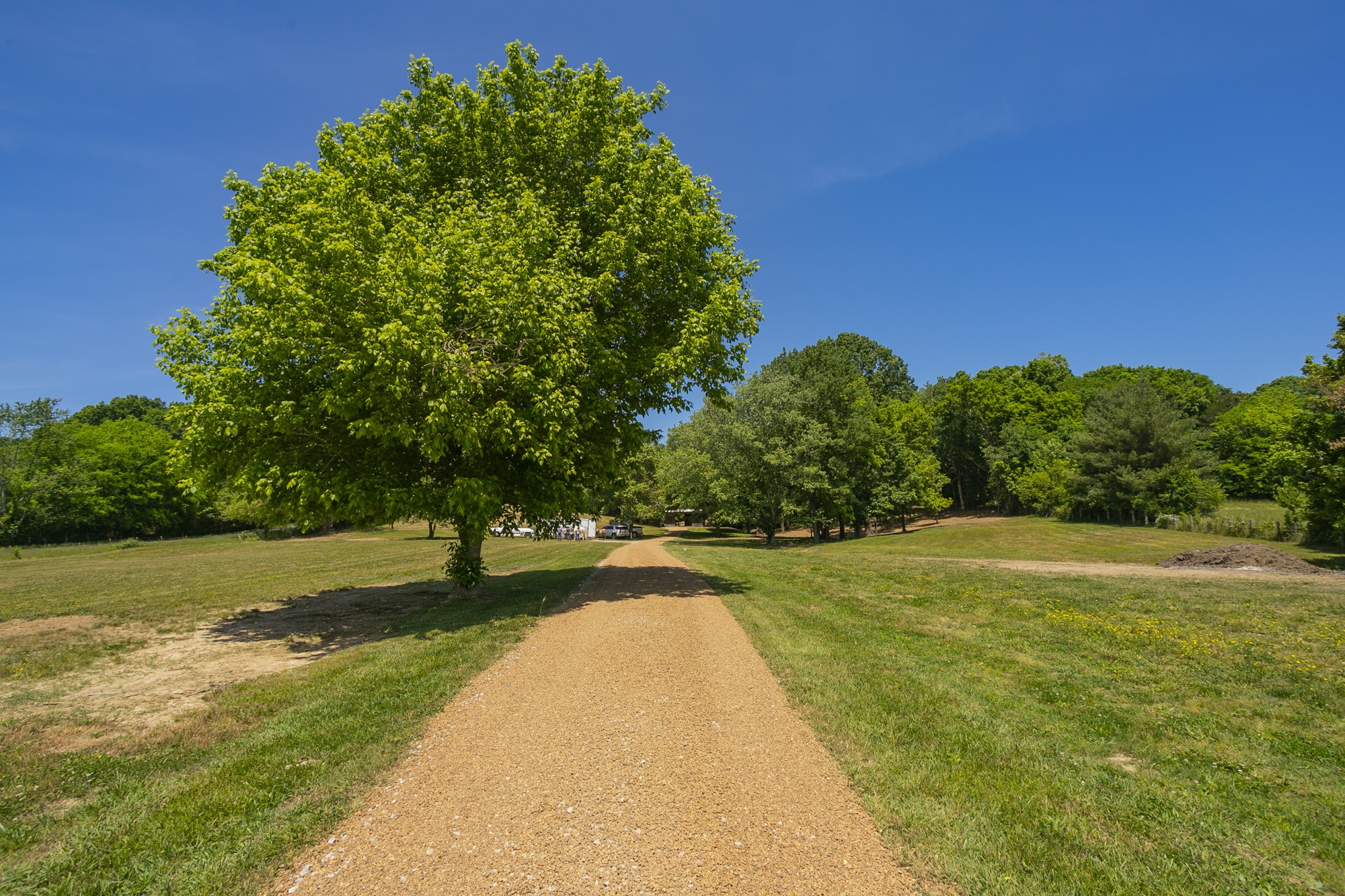 5750 Davis Hollow Road Franklin, TN 37064 - Photo 5 of 41 a view of a field with an trees